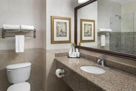 Hodelpa Garden Suites - All Inclusive - 8