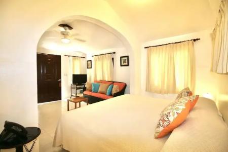 Cabarete Palm Beach Condos - 42