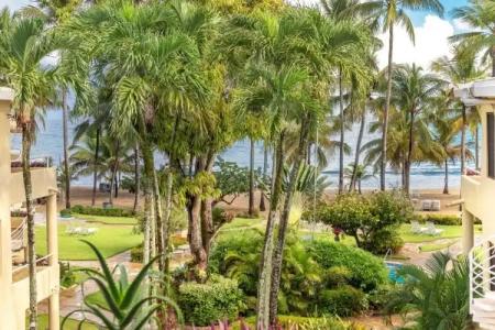 Cabarete Palm Beach Condos - 259