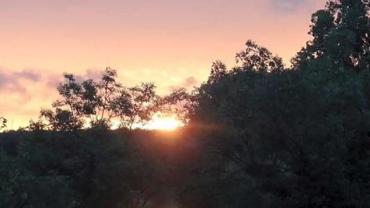 aussicht bio restaurant cafe - 32