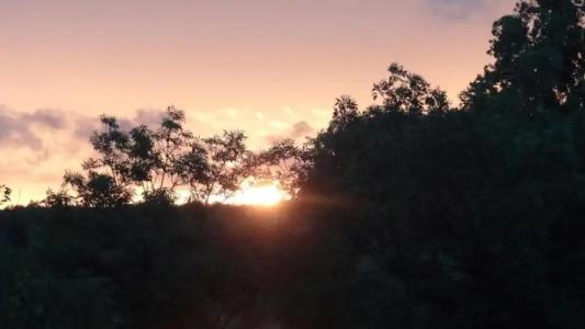 aussicht bio restaurant cafe - 47