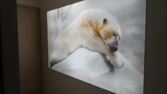 Les Loges Du Parc - 156