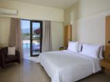 Superior with Private Pool Double room