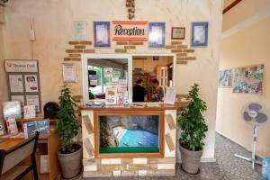 Paradise Apartments, Laganas