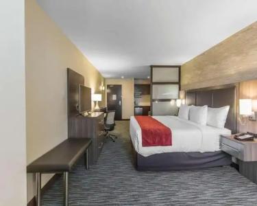 Comfort Inn & Suites Airport North - 22