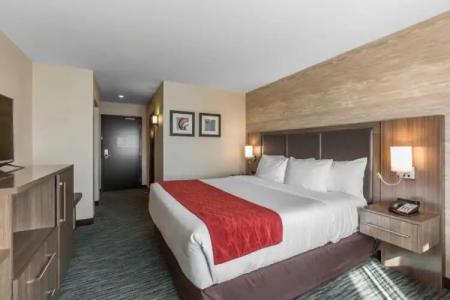 Comfort Inn & Suites Airport North - 33