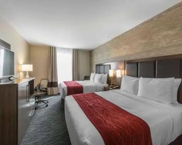 Comfort Inn & Suites Airport North - 28