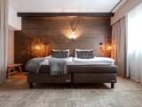 Mystique Deluxe Plus Double room