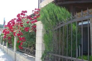 Villa Amfora, Kranevo