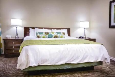 Star Island Resort and Club - Near Disney - 5