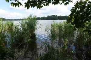 Ferienhaus Natura, Neuruppin