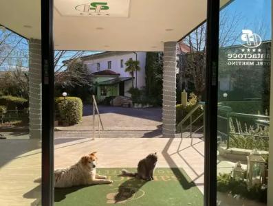 Santacroce Meeting - 18