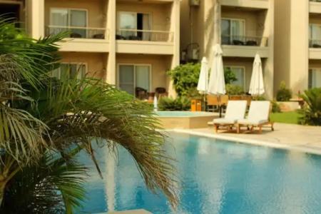 Panacea Borg El Arab - 15