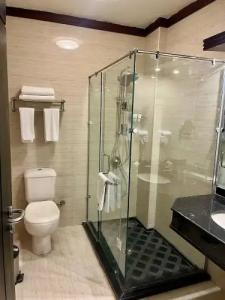 Panacea Borg El Arab - 53