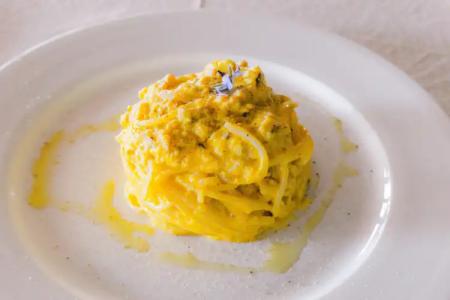 Grand Excelsior - 10