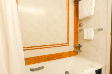 Grand Excelsior - 73