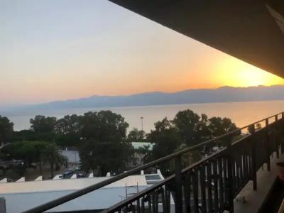 Grand Excelsior - 15