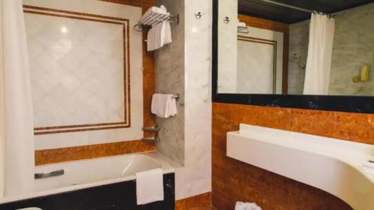 Grand Excelsior - 96