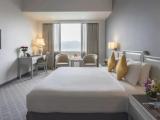 Executive Double Suite