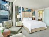 Diplomatic Double Suite with view