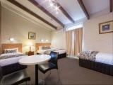 Standard room with park view