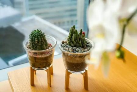 Oasia Novena, Singapore by Far East Hospitality - 12