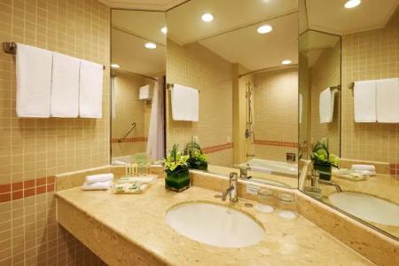 Holiday Inn Singapore Atrium, an IHG - 8