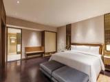 Executive Double Suite