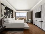 1 Bedroom Diplomatic Club Lounge Access Double Suite Mountain View