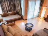 Standard Double room with balcony and with pool view