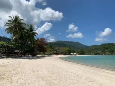 Havana Beach Resort Phangan - 19