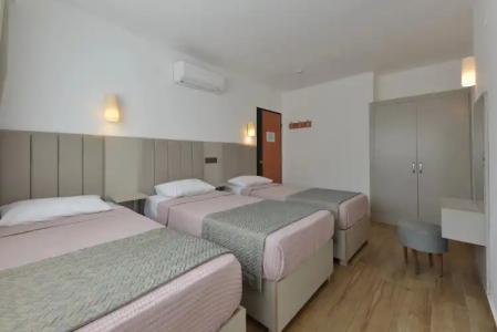 Golden Orange Apart - 4