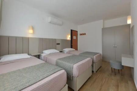 Golden Orange Apart - 32