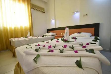 Golden Orange Apart - 37