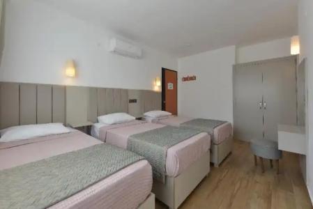 Golden Orange Apart - 52