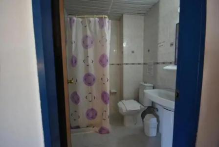 Golden Orange Apart - 55