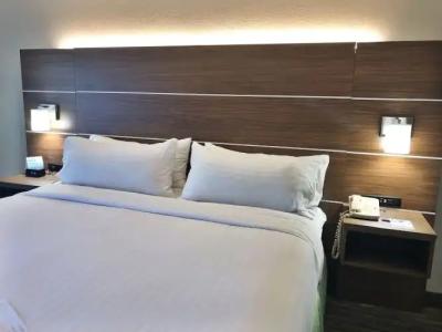 Holiday Inn Express Boca Raton - West, an IHG - 4