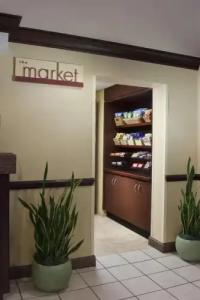 SpringHill Suites Boca Raton - 35