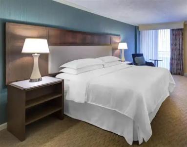 Sheraton Sand Key Resort - 41