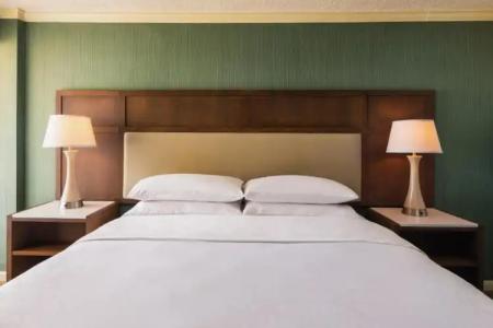 Sheraton Sand Key Resort - 56