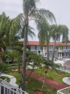 Days Inn by Wyndham Clearwater/Central - 18