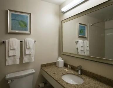 Cirque St Armands Beachside - 8