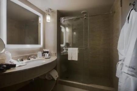 The Westin Tampa Waterside - 80