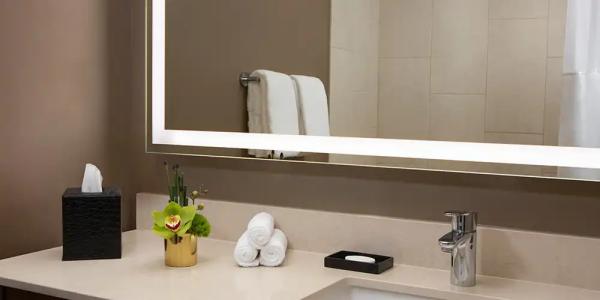 Sheraton Minneapolis Downtown - 43