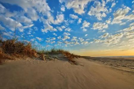 Marriott's SurfWatch - 28