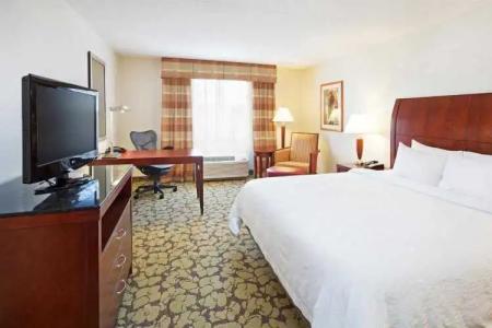 Hilton Garden Inn Myrtle Beach/Coastal Grand Mall - 4