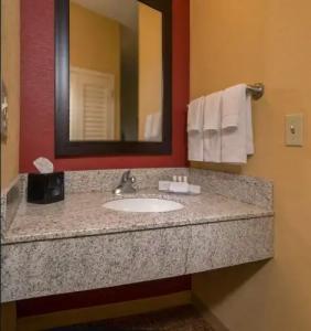 Courtyard Williamsburg - Busch Gardens - 7