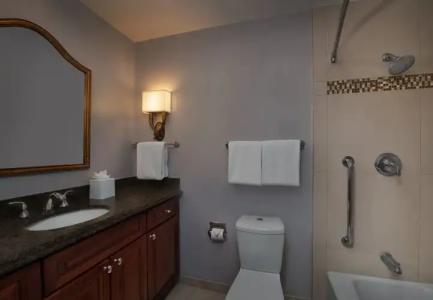 Marriott's Manor Club at Ford's Colony - 9