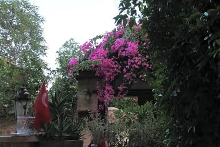 Hadrian Gate - 150