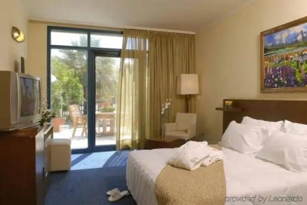 Brown Red Sea - Central Park - 30